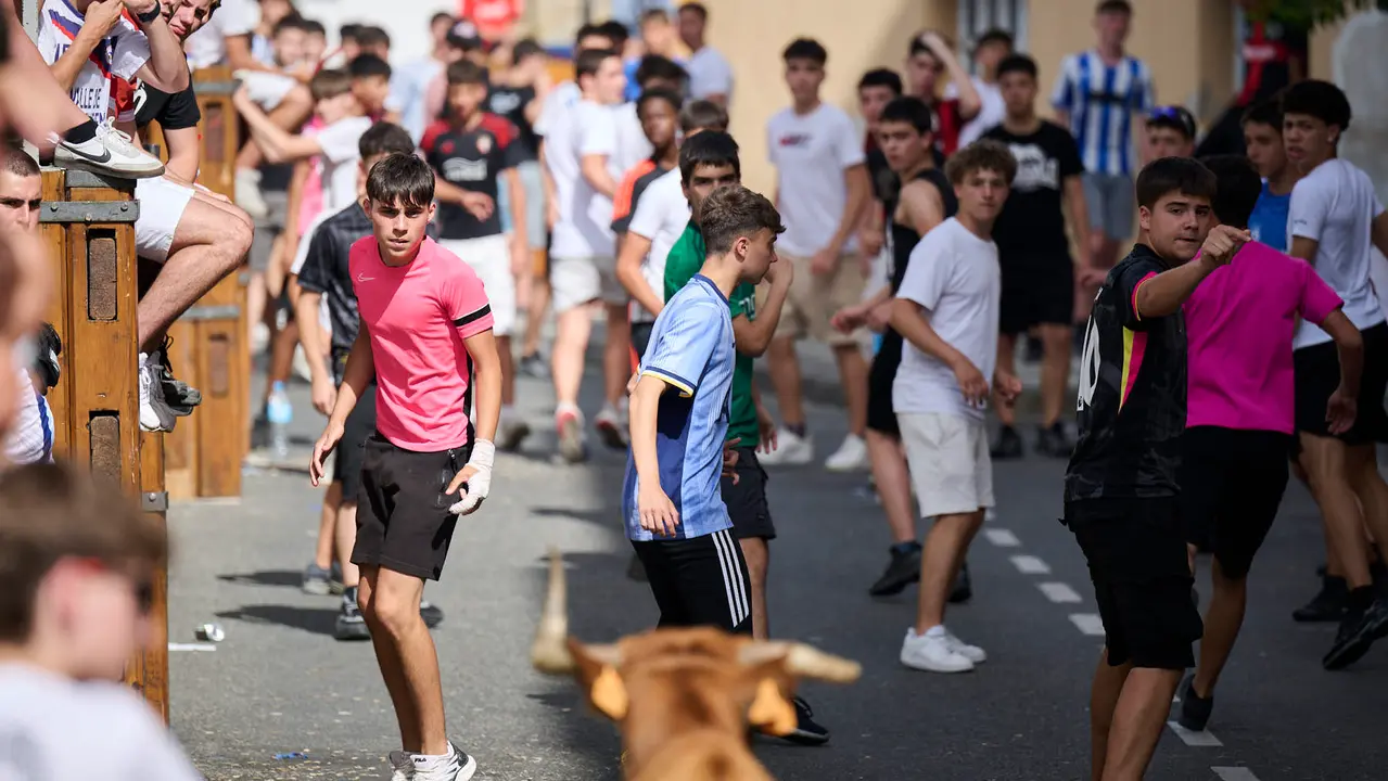 Tarde de vacas en las fiestas de Mutilva 2025. PABLO LASAOSA