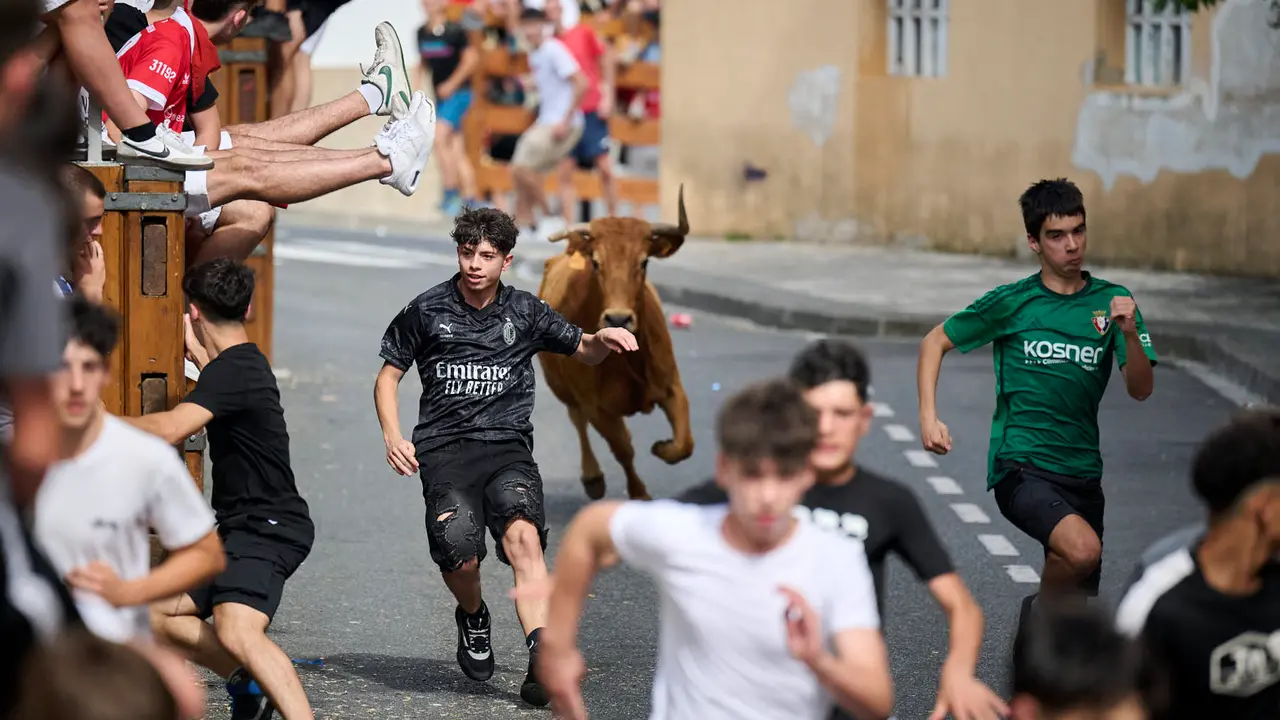 Tarde de vacas en las fiestas de Mutilva 2025. PABLO LASAOSA