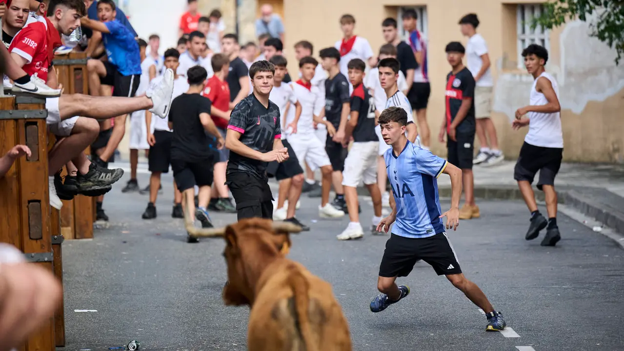 Tarde de vacas en las fiestas de Mutilva 2025. PABLO LASAOSA