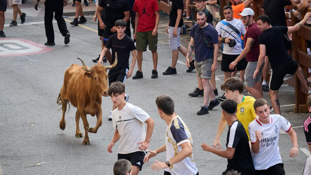 Tarde de vacas en las fiestas de Mutilva 2025. PABLO LASAOSA