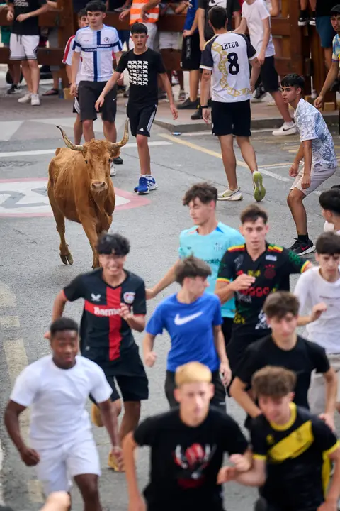 Tarde de vacas en las fiestas de Mutilva 2025. PABLO LASAOSA