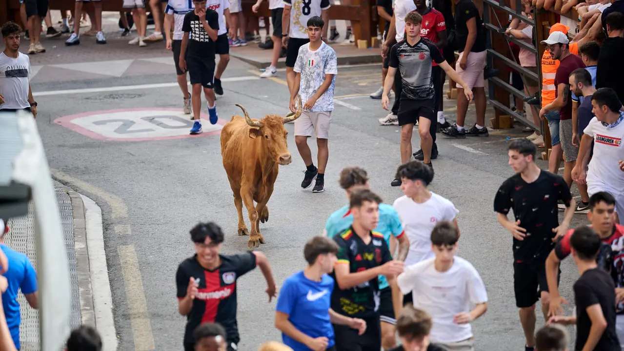 Tarde de vacas en las fiestas de Mutilva 2025. PABLO LASAOSA