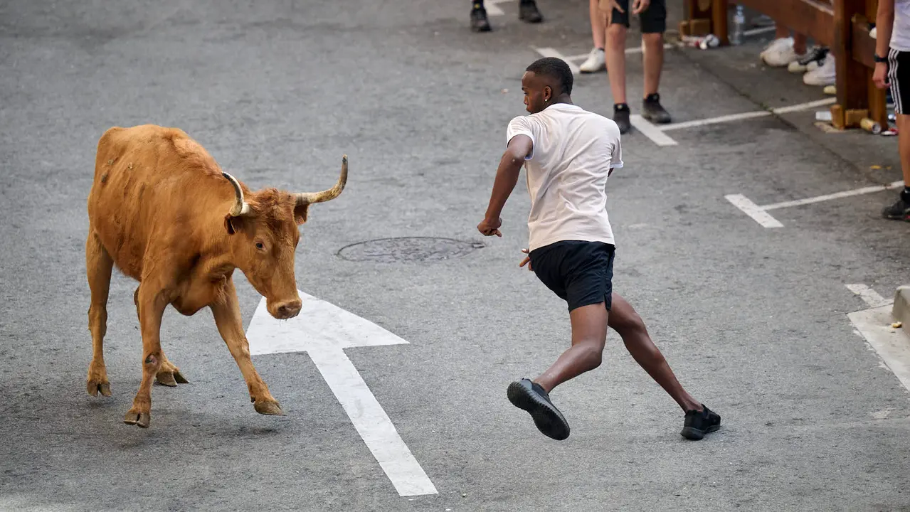 Tarde de vacas en las fiestas de Mutilva 2025. PABLO LASAOSA