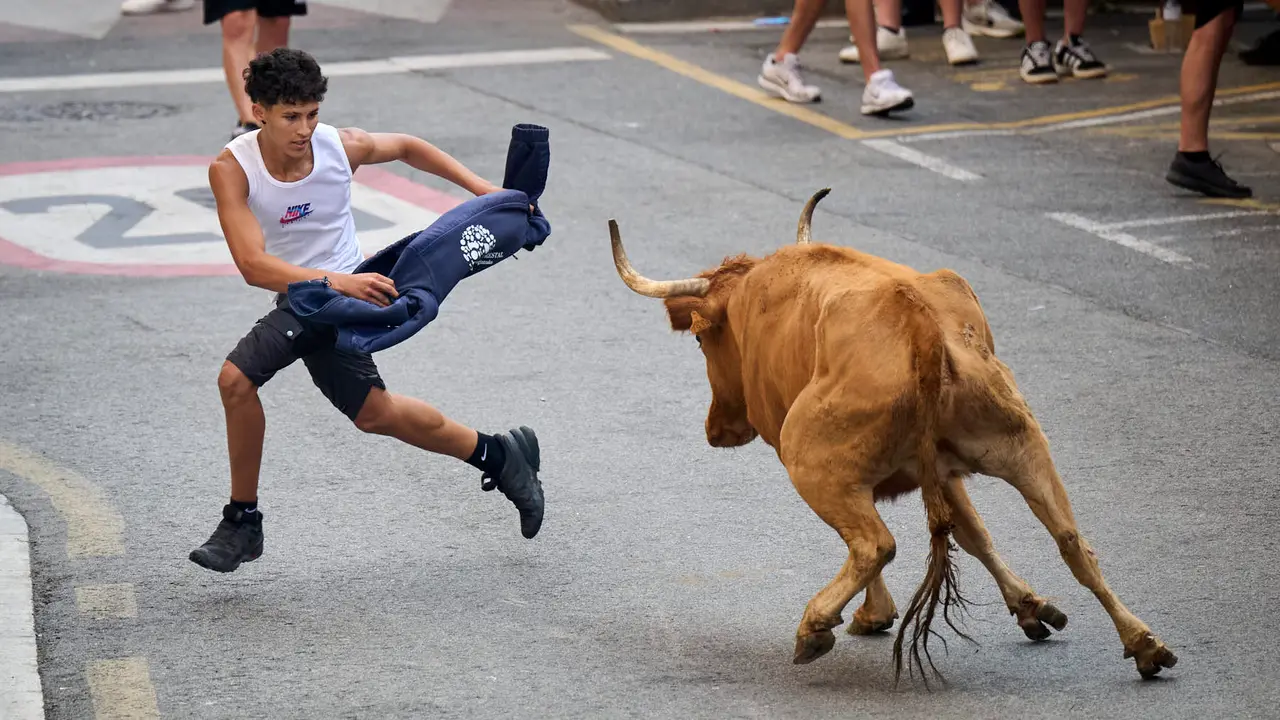Tarde de vacas en las fiestas de Mutilva 2025. PABLO LASAOSA