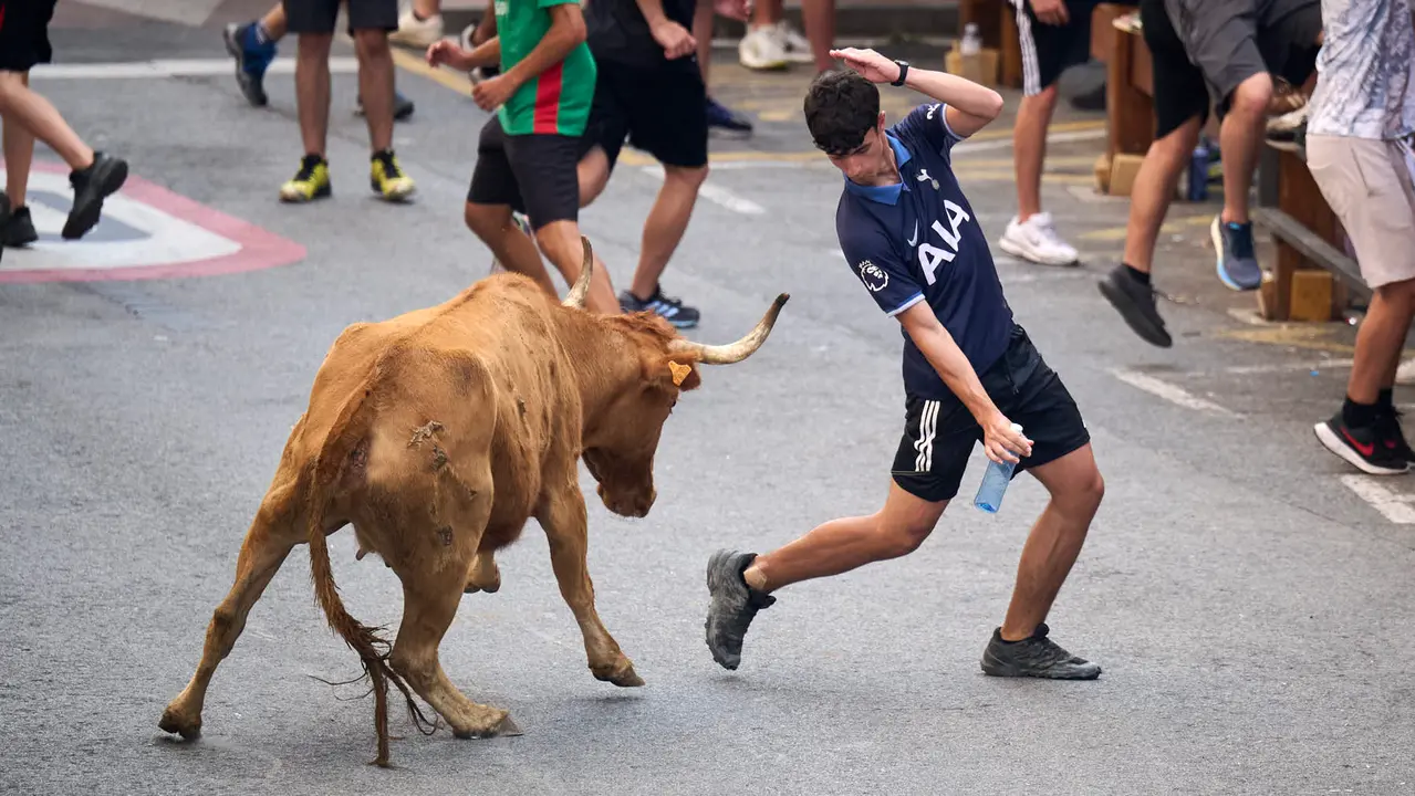 Tarde de vacas en las fiestas de Mutilva 2025. PABLO LASAOSA