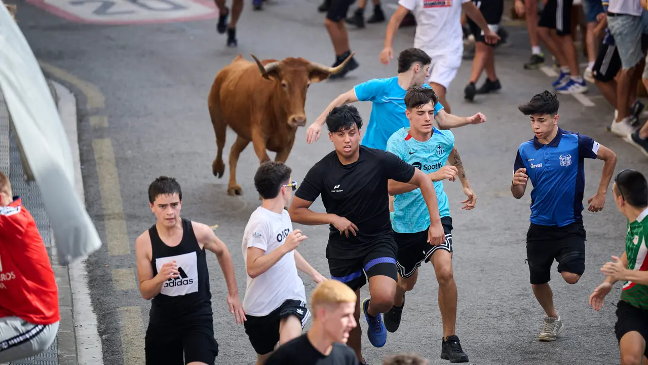 Tarde de vacas en las fiestas de Mutilva 2025. PABLO LASAOSA
