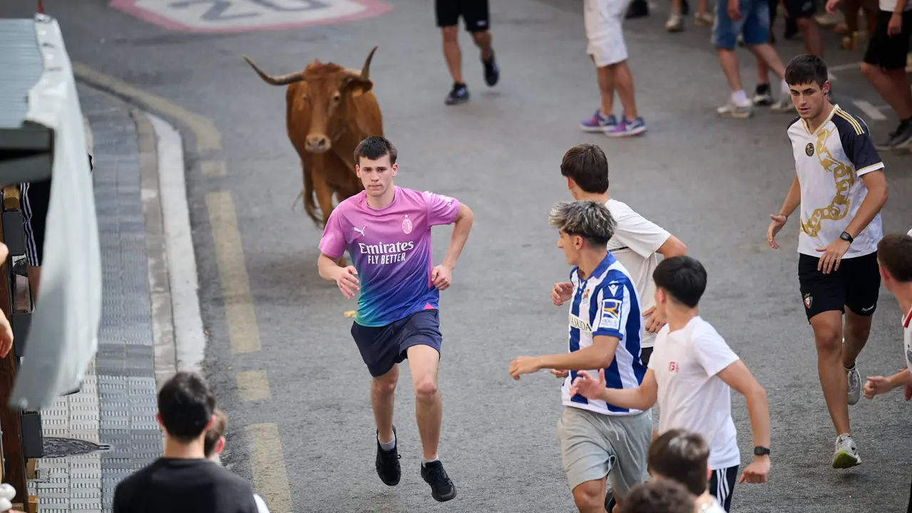 Tarde de vacas en las fiestas de Mutilva 2025. PABLO LASAOSA