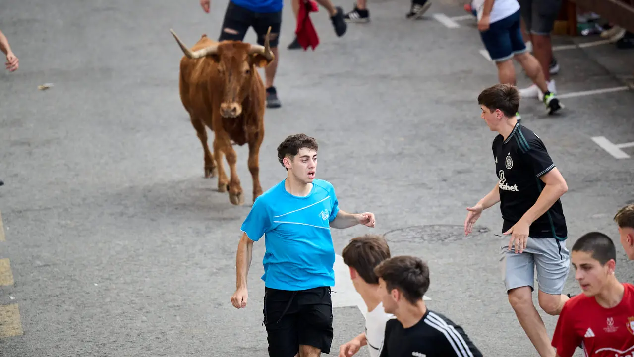 Tarde de vacas en las fiestas de Mutilva 2025. PABLO LASAOSA