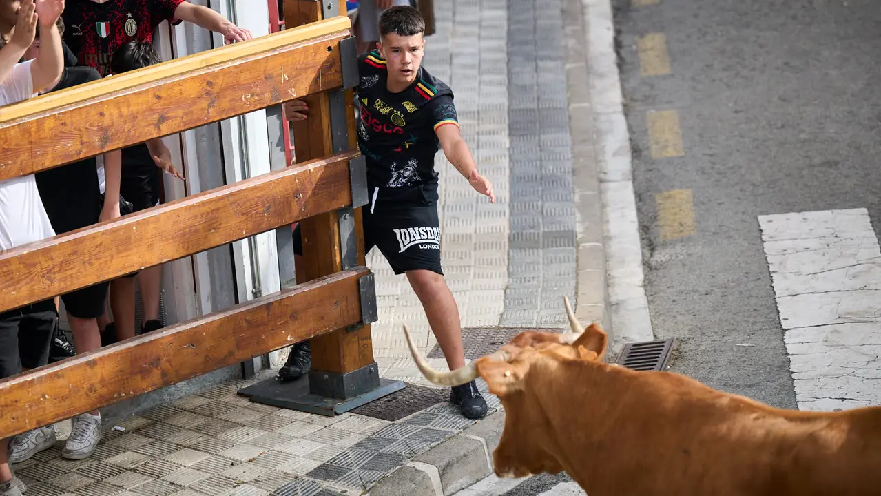 Tarde de vacas en las fiestas de Mutilva 2025. PABLO LASAOSA