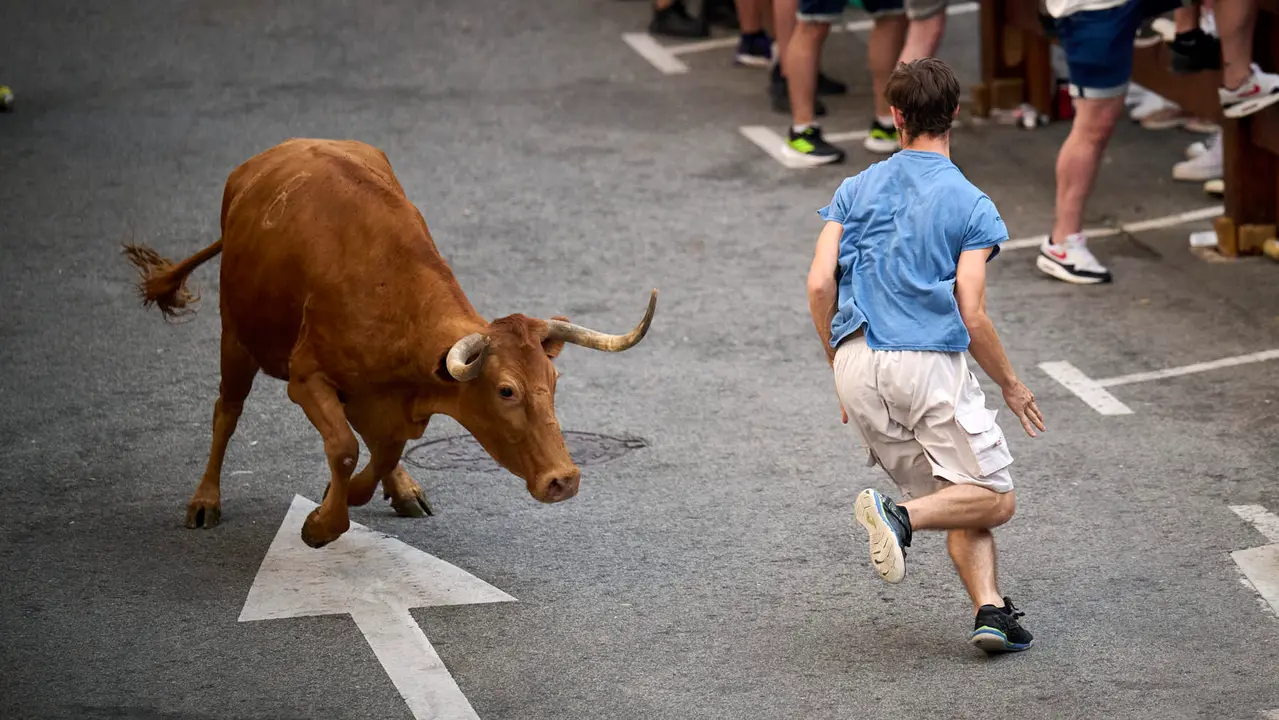 Tarde de vacas en las fiestas de Mutilva 2025. PABLO LASAOSA
