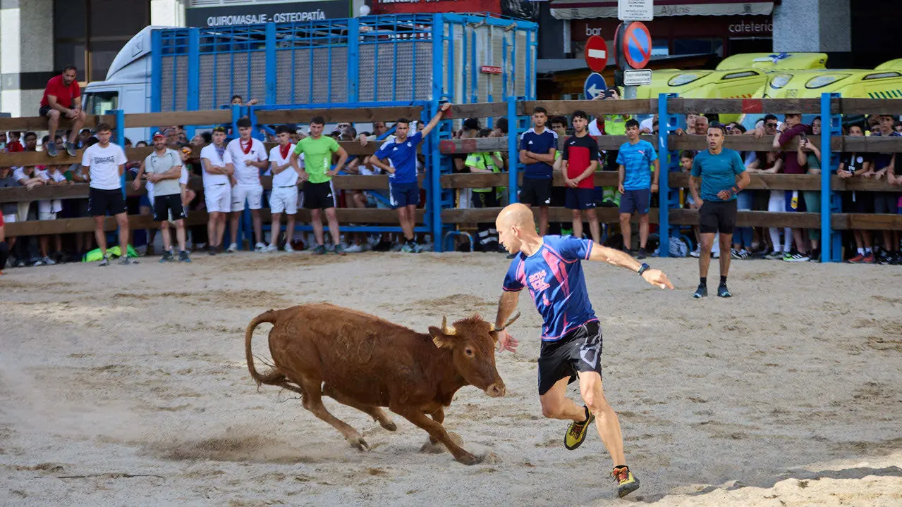 Vaquillas de la ganadería Zubiria y Arana en las Fiestas de Barañáin de 2025. IÑIGO ALZUGARAY