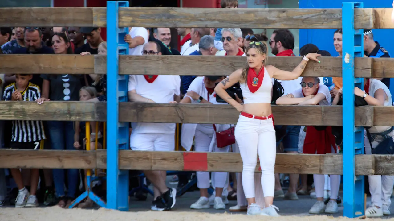 Vaquillas de la ganadería Zubiria y Arana en las Fiestas de Barañáin de 2025. IÑIGO ALZUGARAY