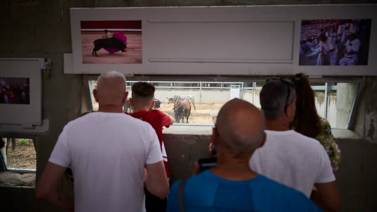 Apertura de los corrales del Gas para ver los toros de San Fermín 2025. PABLO LASAOSA