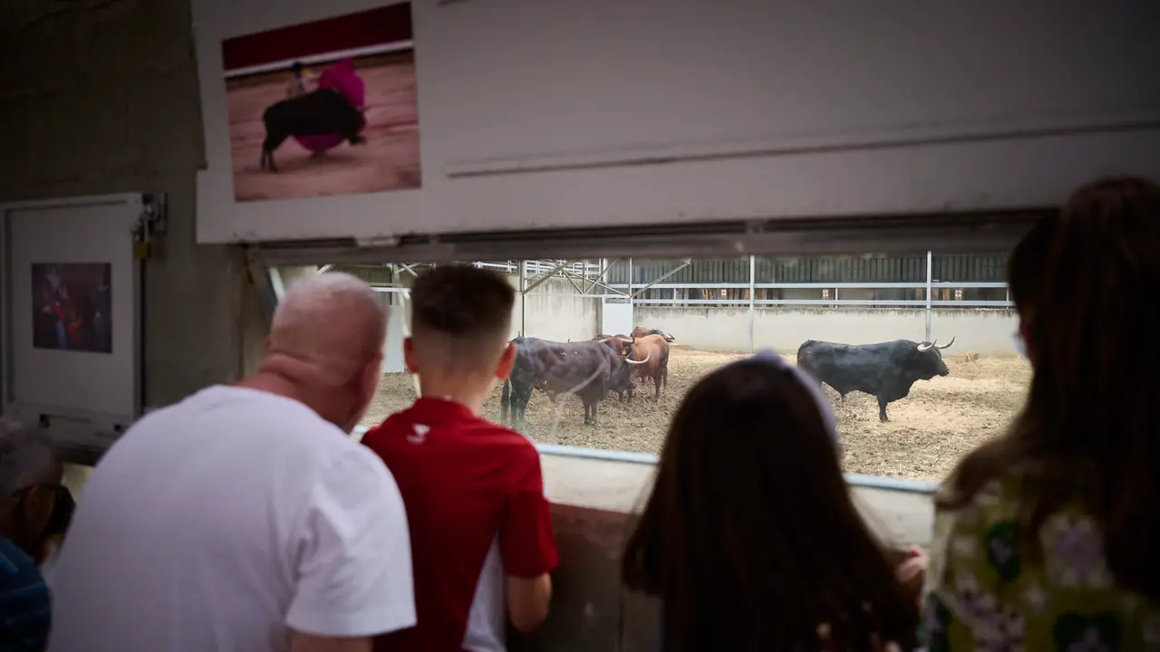 Apertura de los corrales del Gas para ver los toros de San Fermín 2025. PABLO LASAOSA