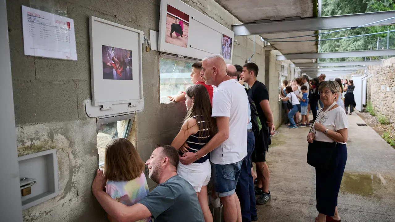 Apertura de los corrales del Gas para ver los toros de San Fermín 2025. PABLO LASAOSA