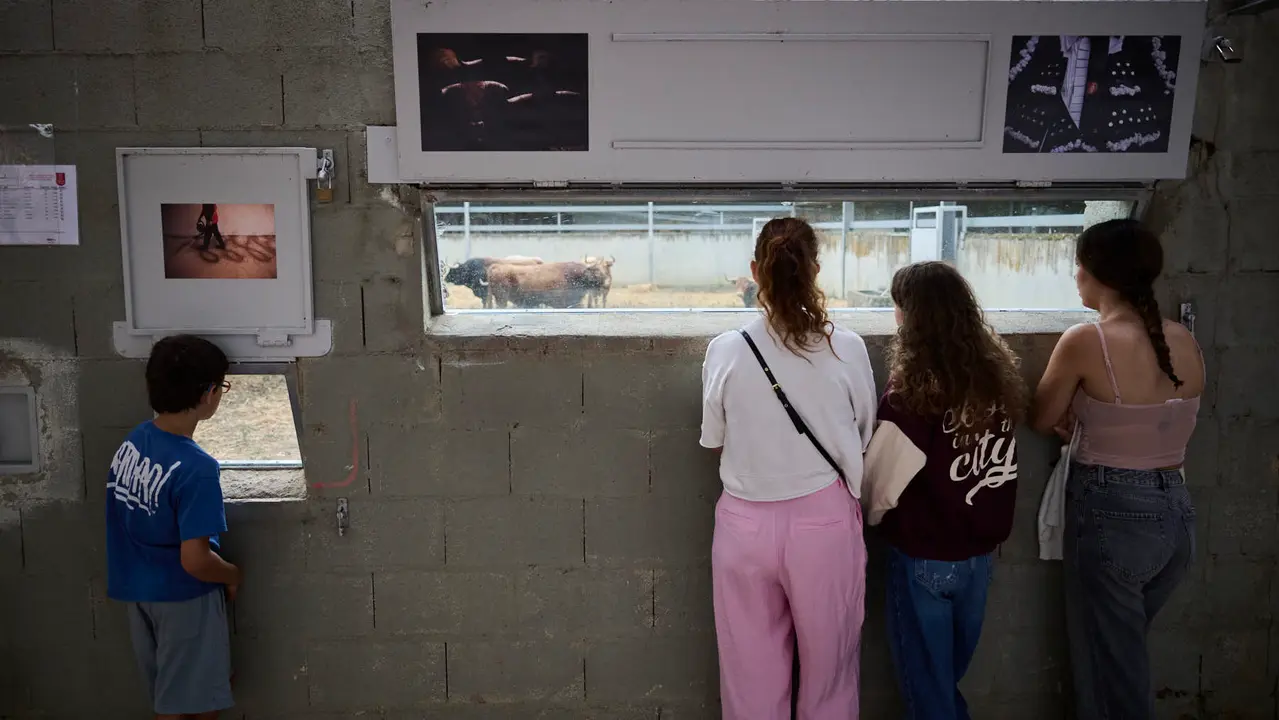 Apertura de los corrales del Gas para ver los toros de San Fermín 2025. PABLO LASAOSA