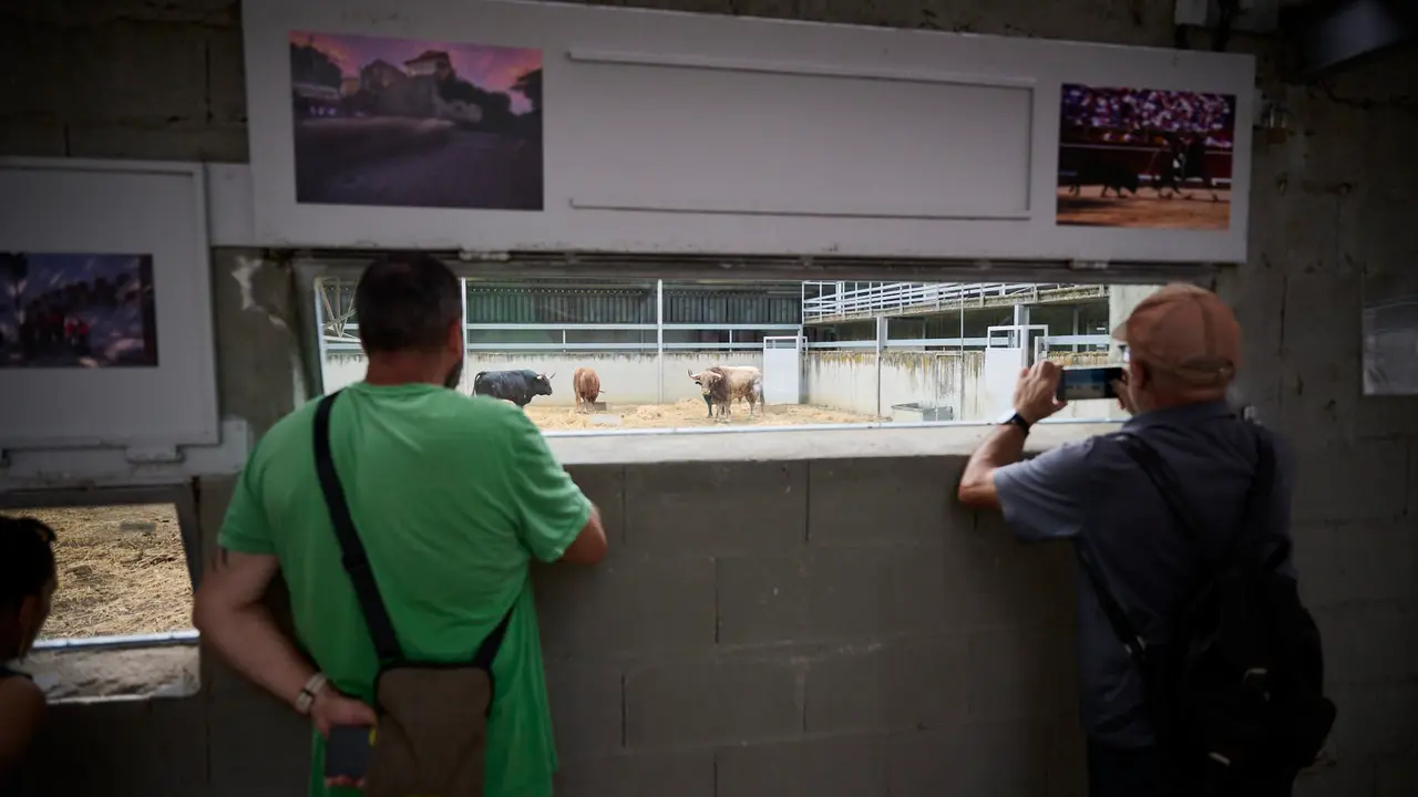 Apertura de los corrales del Gas para ver los toros de San Fermín 2025. PABLO LASAOSA