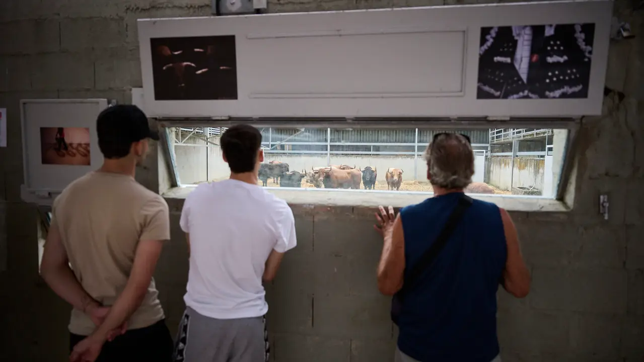Apertura de los corrales del Gas para ver los toros de San Fermín 2025. PABLO LASAOSA
