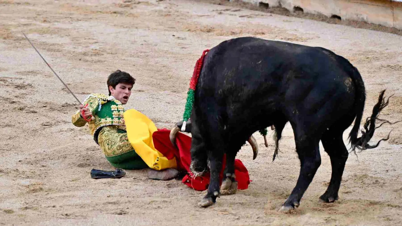 El primer novillo de la tarde ha dado un susto monumental a Aarón Palacios en la primera de abono de la Feria del Toro de Pamplona. PABLO LASAOSA
