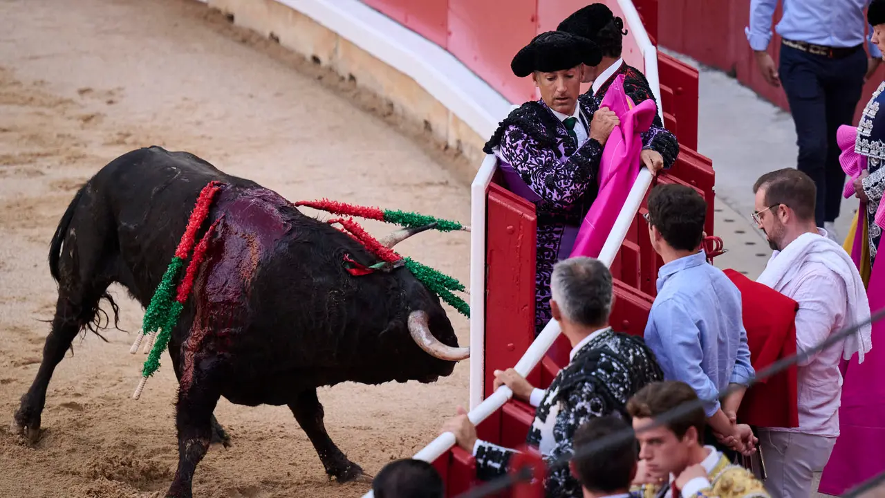Novillada de Pincha durante las fiestas de San Fermín 2025 para los novilleros Aarón Palacio, El Mene y Bruno Martínez. PABLO LASAOSA