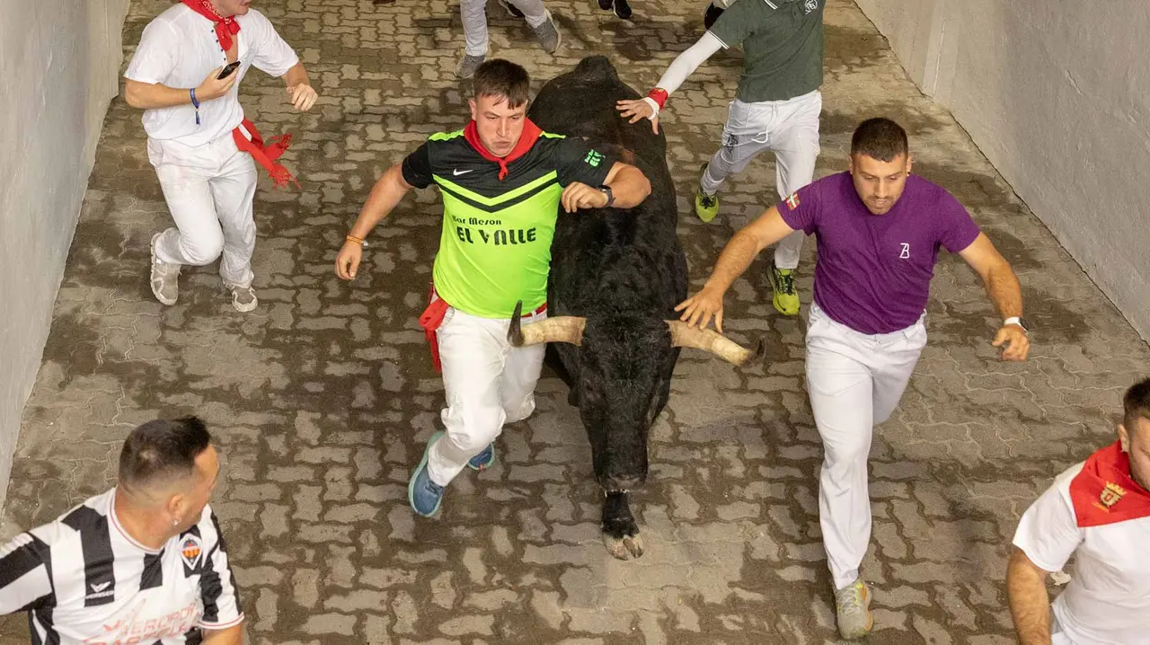 Primer encierro de San Fermín 2019 con toros de Fuente Ymbro en callejón plaza. Maite H. Mateo-07