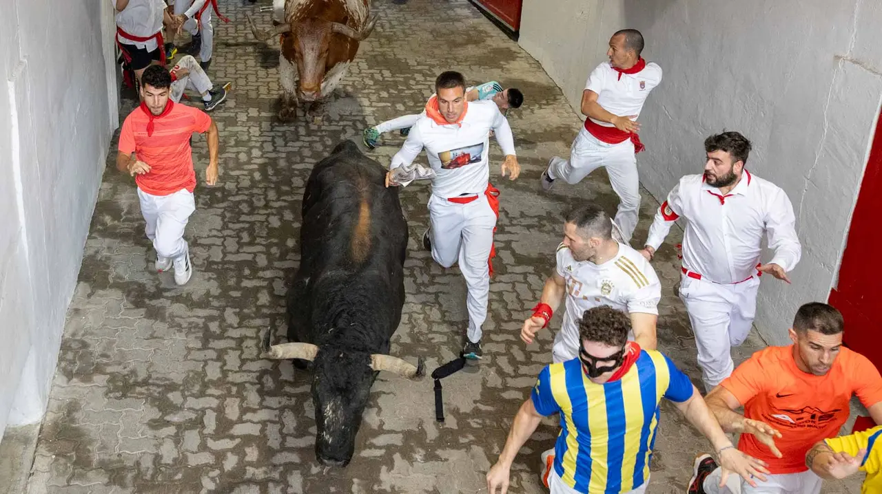 Primer encierro de San Fermín 2019 con toros de Fuente Ymbro en callejón plaza. Maite H. Mateo-13