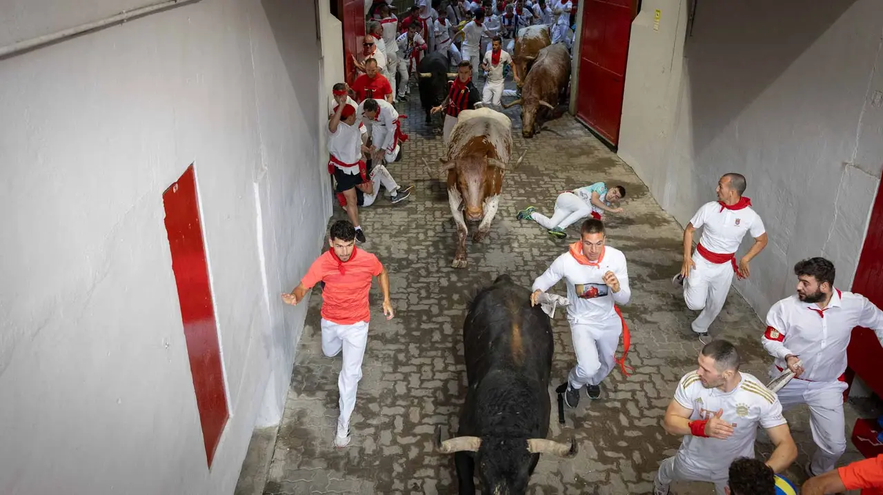 Primer encierro de San Fermín 2019 con toros de Fuente Ymbro en callejón plaza. Maite H. Mateo-14
