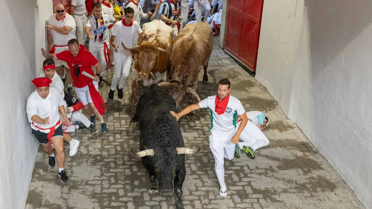 Primer encierro de San Fermín 2019 con toros de Fuente Ymbro en callejón plaza. Maite H. Mateo-17