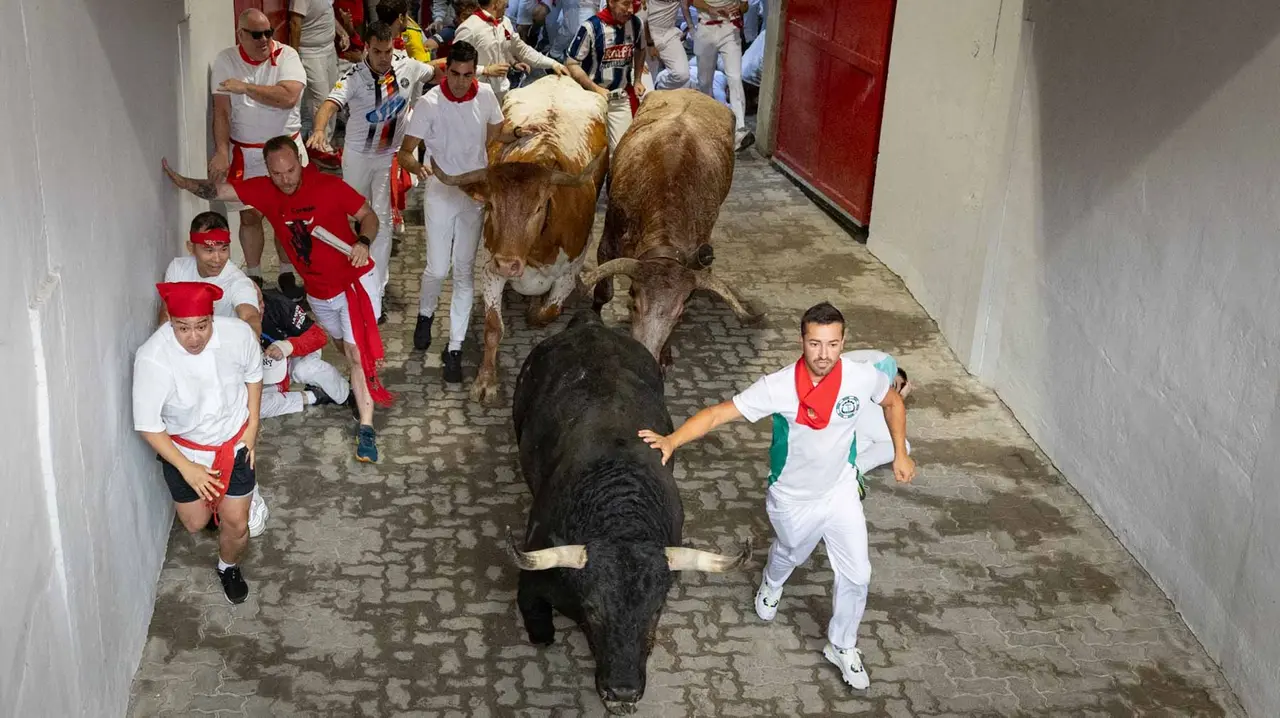 Primer encierro de San Fermín 2019 con toros de Fuente Ymbro en callejón plaza. Maite H. Mateo-18