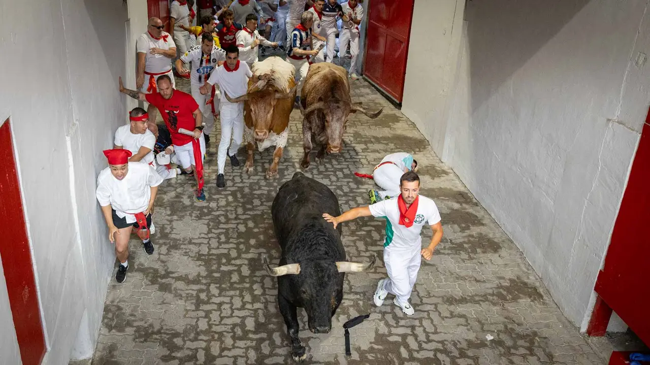 Primer encierro de San Fermín 2019 con toros de Fuente Ymbro en callejón plaza. Maite H. Mateo-19
