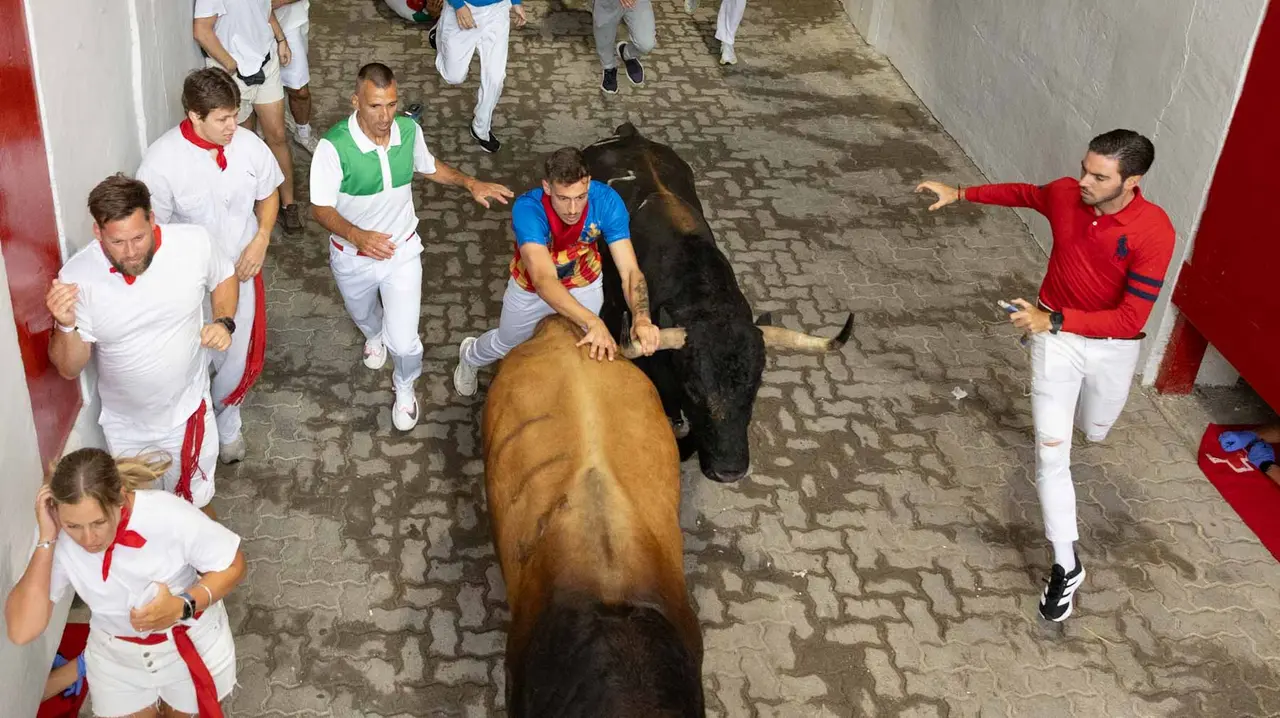 Primer encierro de San Fermín 2019 con toros de Fuente Ymbro en callejón plaza. Maite H. Mateo-29