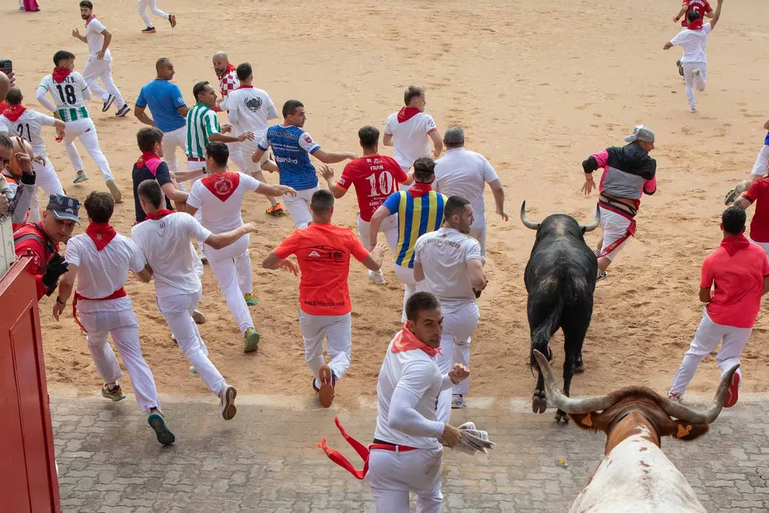 Primer encierro de San Fermín 2019 con toros de Fuente Ymbro en callejón plaza. Maite H. Mateo-04