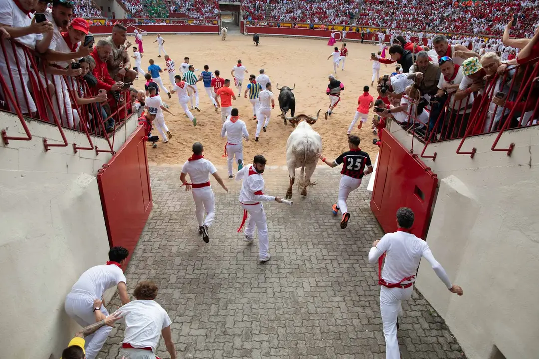 Primer encierro de San Fermín 2019 con toros de Fuente Ymbro en callejón plaza. Maite H. Mateo-05