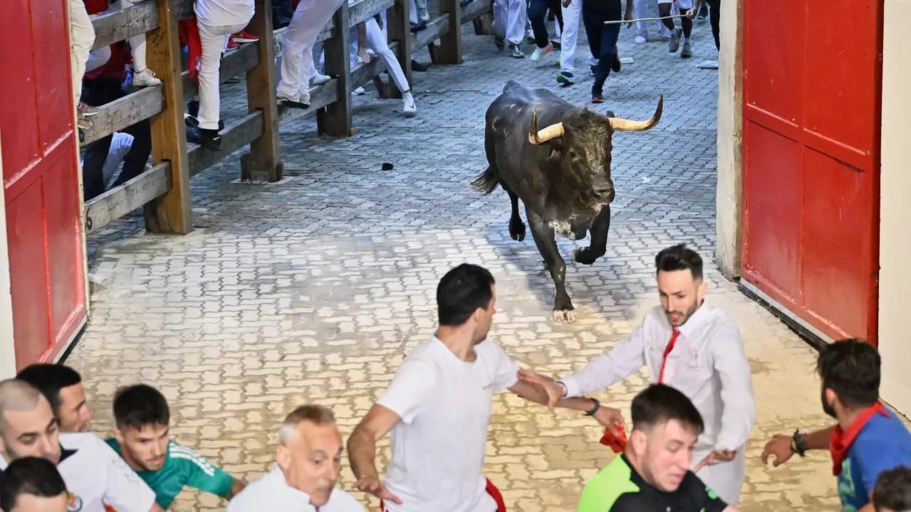 Segundo encierro de las fiestas de San Fermín 2025 con toros de Cebada Gago en el Callejón. PABLO LASAOSA