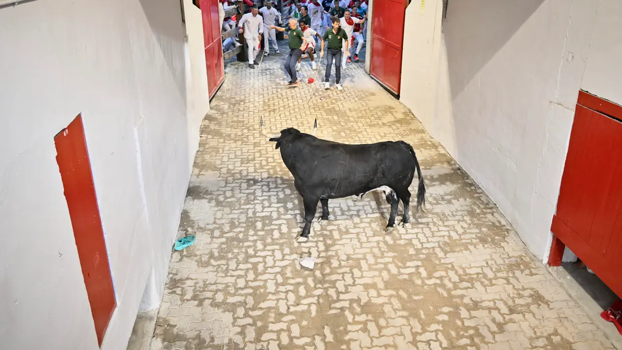 Segundo encierro de las fiestas de San Fermín 2025 con toros de Cebada Gago en el Callejón. PABLO LASAOSA