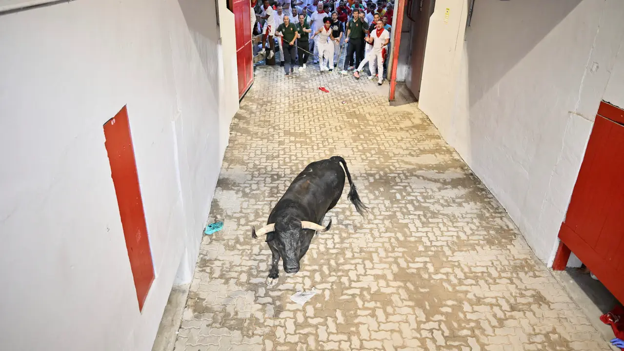 Segundo encierro de las fiestas de San Fermín 2025 con toros de Cebada Gago en el Callejón. PABLO LASAOSA