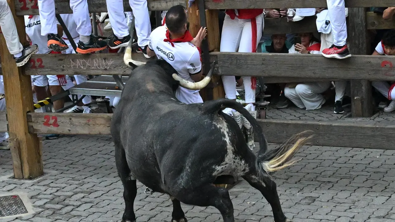 Segundo encierro de San Fermín 2025 el día 8 de julio con toros de Cebada Gago en Telefónica. EFE - DANIEL FERNÁNDEZ (3)