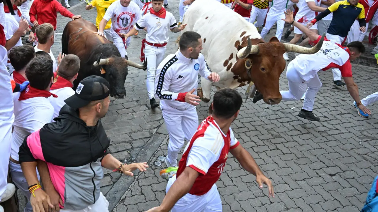 Segundo encierro de San Fermín 2025 el día 8 de julio con toros de Cebada Gago en Telefónica. EFE - DANIEL FERNÁNDEZ (4)