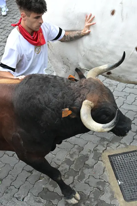Segundo encierro de San Fermín 2025 el día 8 de julio con toros de Cebada Gago en Telefónica. EFE - DANIEL FERNÁNDEZ (5)