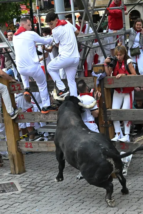Segundo encierro de San Fermín 2025 el día 8 de julio con toros de Cebada Gago en Telefónica. EFE - DANIEL FERNÁNDEZ (8)