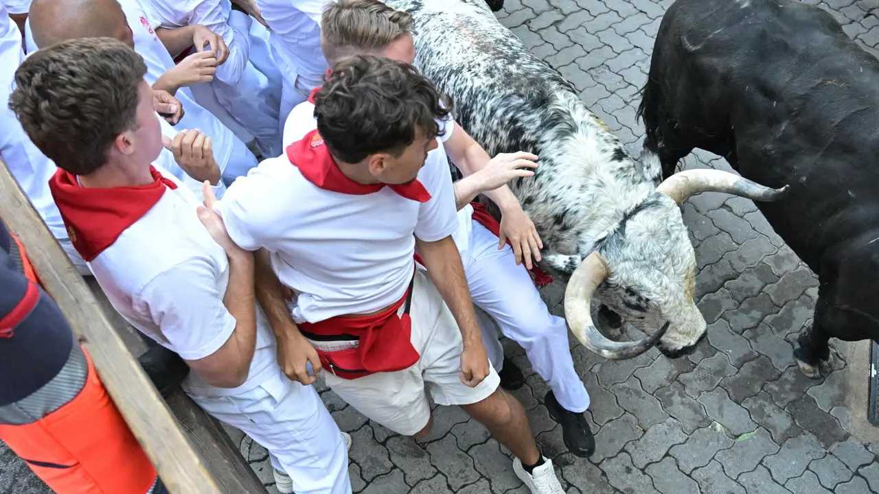 Segundo encierro de San Fermín 2025 el día 8 de julio con toros de Cebada Gago en Telefónica. EFE - DANIEL FERNÁNDEZ (1)