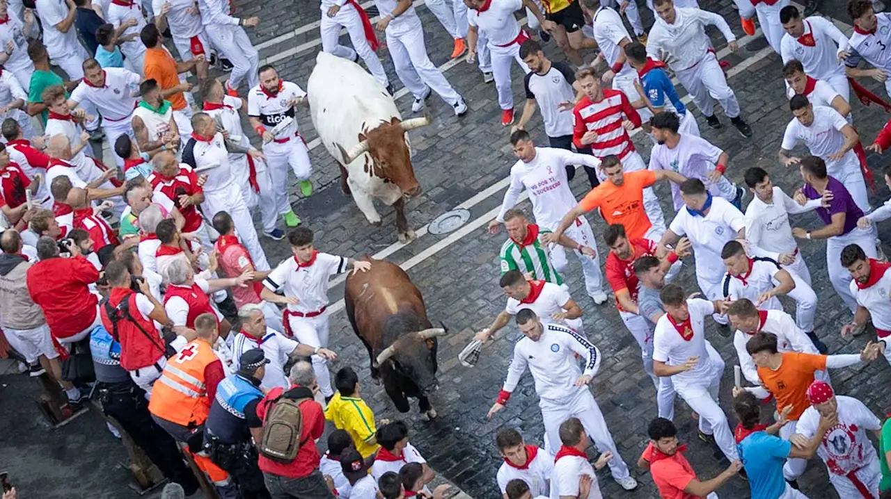 Segundo encierro de San Fermín 2015 con toros de Cebada Gago en Telefonica. Maite H. Mateo.-02