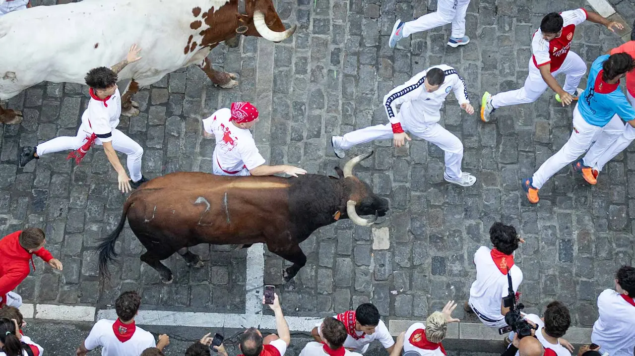 Segundo encierro de San Fermín 2015 con toros de Cebada Gago en Telefonica. Maite H. Mateo.-14