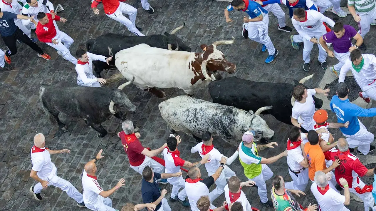 Segundo encierro de San Fermín 2015 con toros de Cebada Gago en Telefonica. Maite H. Mateo.-18