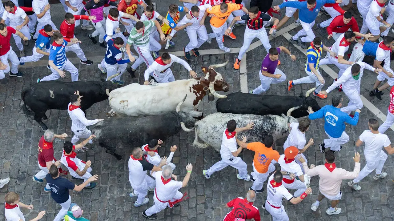 Segundo encierro de San Fermín 2015 con toros de Cebada Gago en Telefonica. Maite H. Mateo.-23