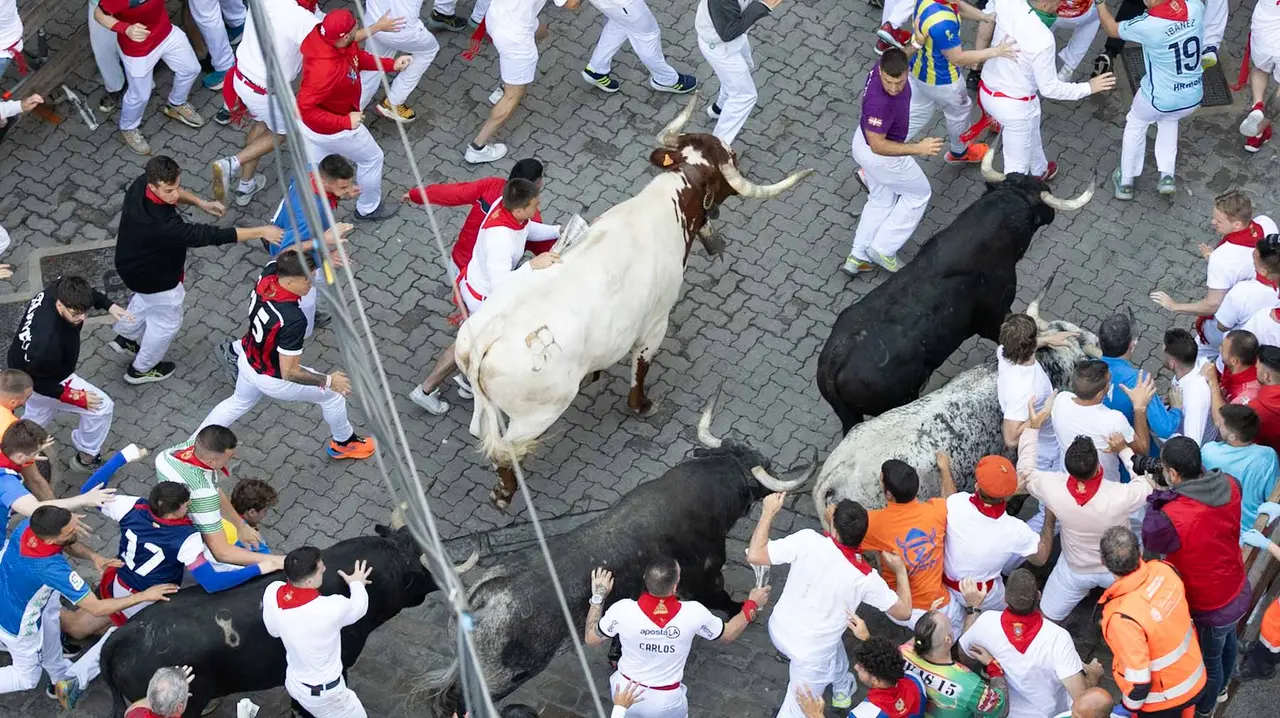Segundo encierro de San Fermín 2015 con toros de Cebada Gago en Telefonica. Maite H. Mateo.-29