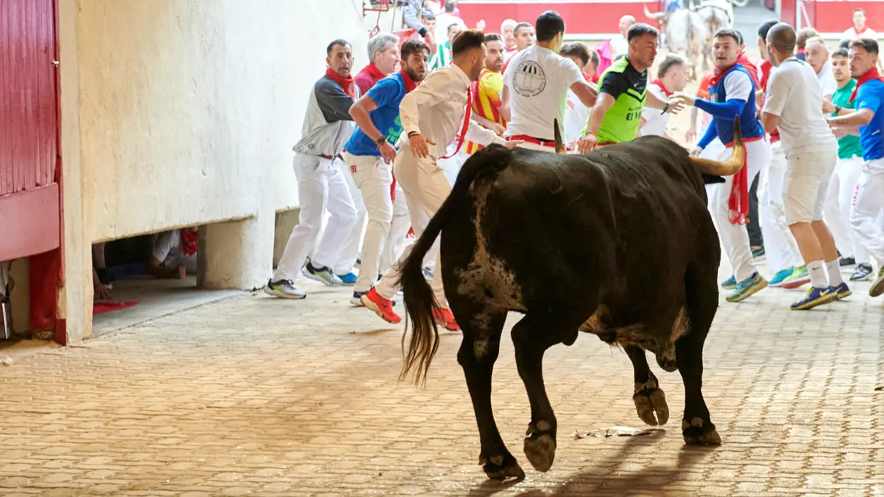 Segundo encierro de San Fermín 2025 con toros de Cebada Gago desde la bajada al callejón en Telefónica. IRANZU LARRASOAÑA