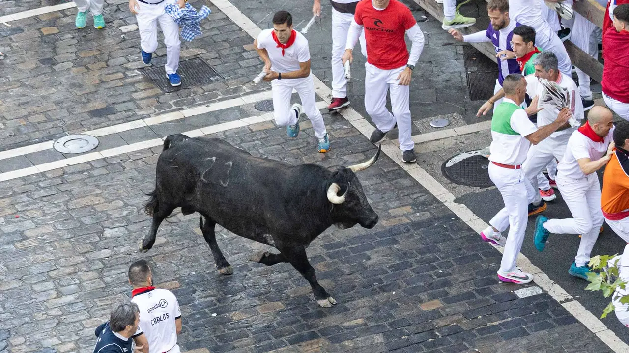 Segundo encierro de San Fermín 2015 con toros de Cebada Gago en Telefonica. Maite H. Mateo.-59