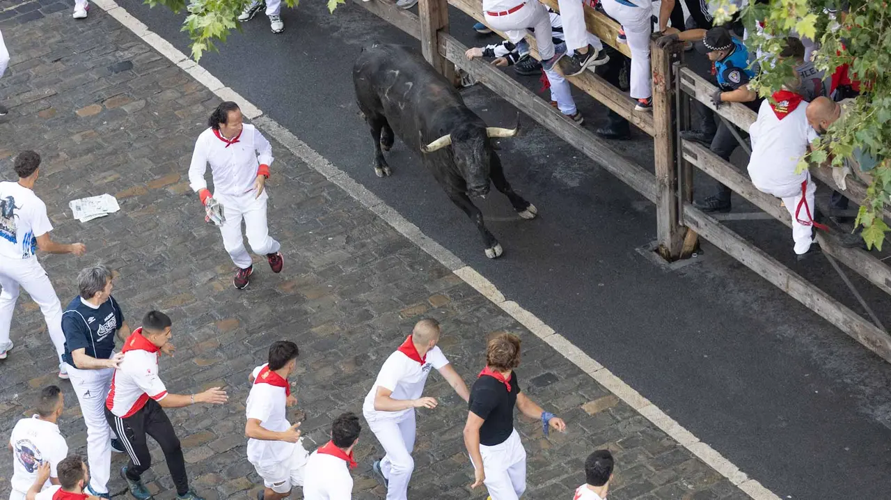 Segundo encierro de San Fermín 2015 con toros de Cebada Gago en Telefonica. Maite H. Mateo.-60
