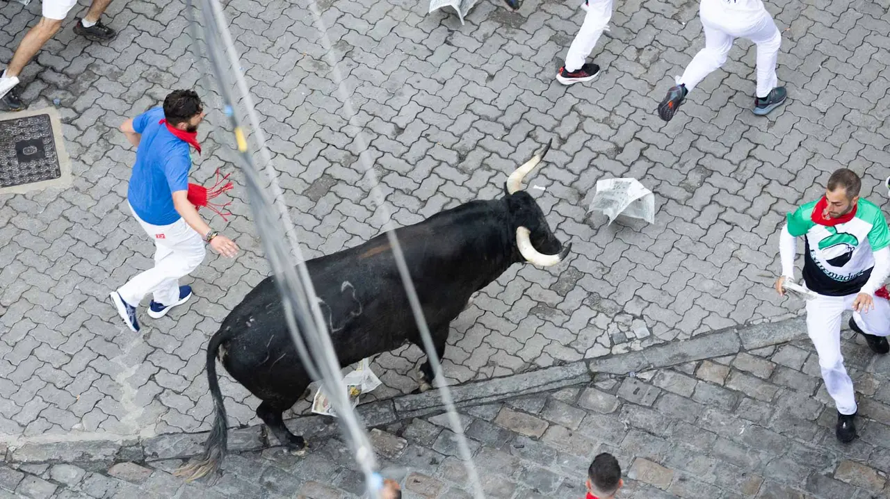 Segundo encierro de San Fermín 2015 con toros de Cebada Gago en Telefonica. Maite H. Mateo.-68